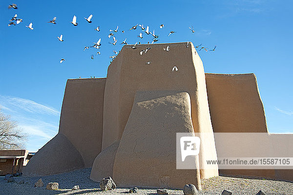 Ein Taubenschwarm fliegt von der historischen Lehmziegelkirche San Francisco de Asis in Taos  New Mexico  Vereinigte Staaten von Amerika