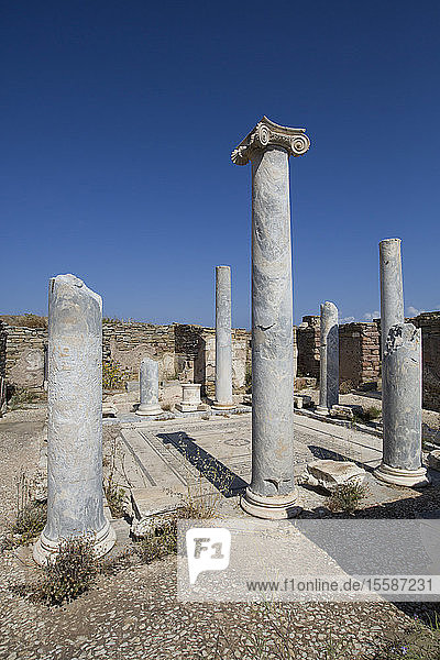 Lake House Delos Island UNESCO World Heritage Site Cyclades Group Greek Islands Greece