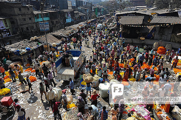 Frühmorgendlicher Handel mit Ringelblumenkränzen  Malik Ghat Blumenmarkt  Kalkutta  Westbengalen  Indien