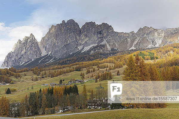 Herbstfarben in der Nähe von Cortina d'Ampezzo in den Dolomiten  Venetien  Italien