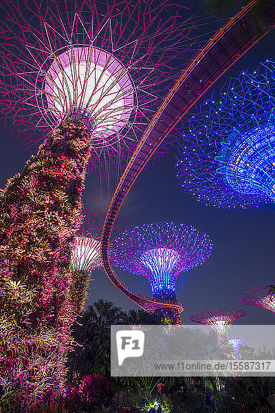Supertrees der Gardens by the Bay mit Hochsteg  bei Nacht  Singapur  Südostasien