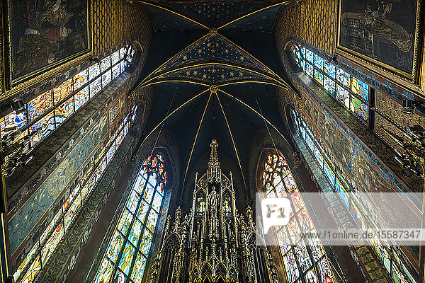 Innenansicht der Decke der Kirche des Heiligen Franz von Assisi   Krakau  Kleinpolen  Polen