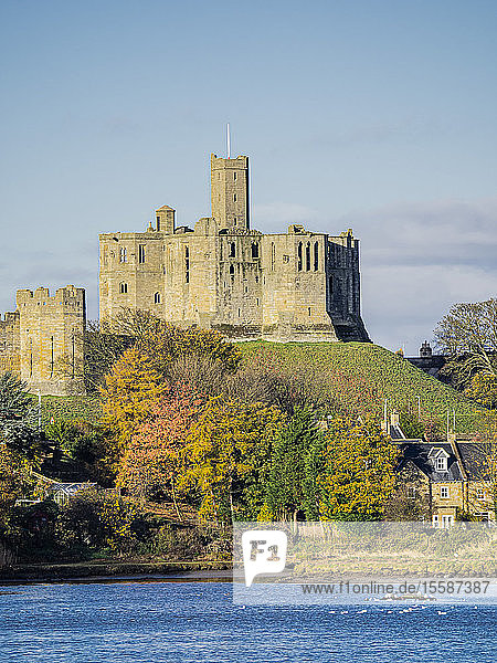 The Castle  Fluss Coquet  Warkworth  Northumberland  England  Vereinigtes Königreich