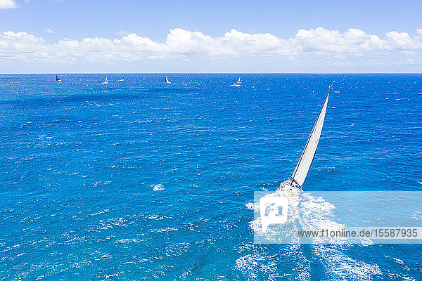Segelboote auf dem blauen Meer während eines Wettbewerbs  Antigua  Leeward-Inseln  Westindien  Karibik