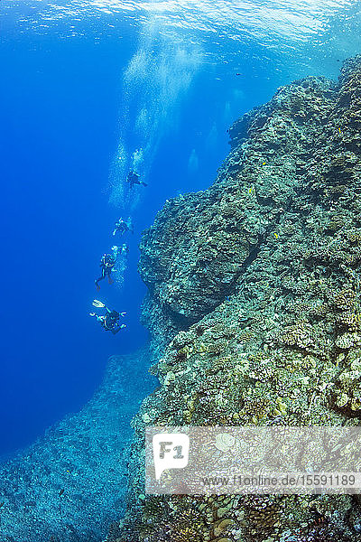 Eine Gruppe von Tauchern an einer der Ecken der Rückwand im Molokini Marine Preserve  vor Maui; Hawaii  Vereinigte Staaten von Amerika