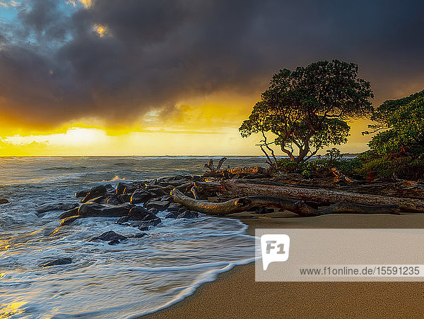 Sonnenaufgang über Treibholz und Felsen an einer hawaiianischen Küste; Kauai  Hawaii  Vereinigte Staaten von Amerika