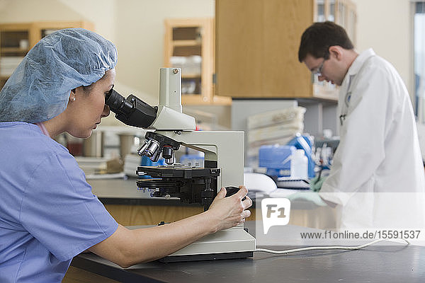 Female lab technician analyzing a sample through a microscope