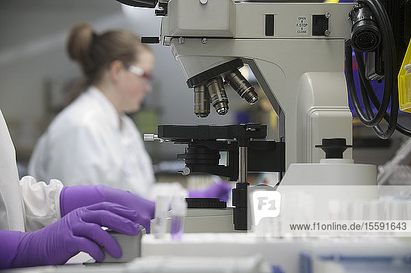 Wissenschaftler bei der Analyse einer Stammzellenprobe in einem Labor