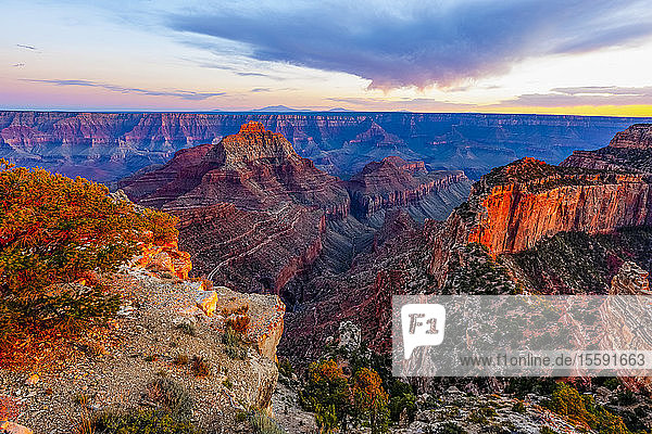 North Rim des Grand Canyon bei Sonnenuntergang; Arizona,  Vereinigte Staaten von Amerika