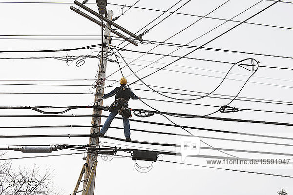 Kommunikationsarbeiter auf einem Strommast bei der Verlegung neuer Kabel zu bestehenden Bündeln