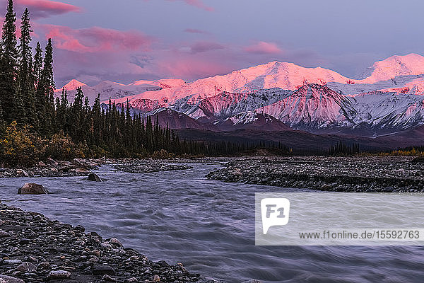 Alpenglühen bei Sonnenuntergang auf der Alaska Range  gesehen vom Muddy River im Denali National Park and Preserve; Alaska  Vereinigte Staaten von Amerika