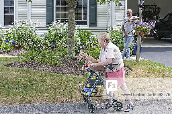 Senior man watering flowers while neighbor with walker and dog goes by