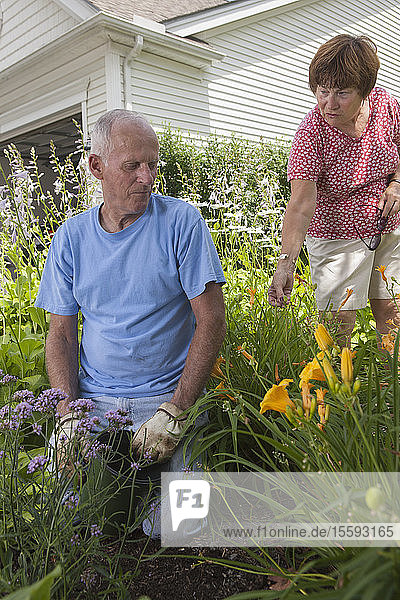 Frau berät ihren Mann beim Pflanzen von Blumen in ihrem Garten