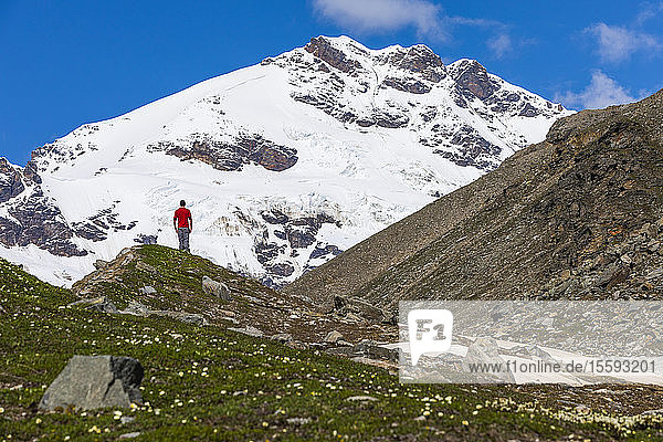 Mount Silvertip rises over a man in an alpine meadow near Thayer Hut in the Alaska Range; Alaska  United States of America