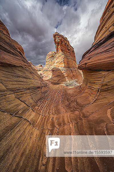 The amazing sandstone and rock formations of South Coyote Butte; Arizona United States of America
