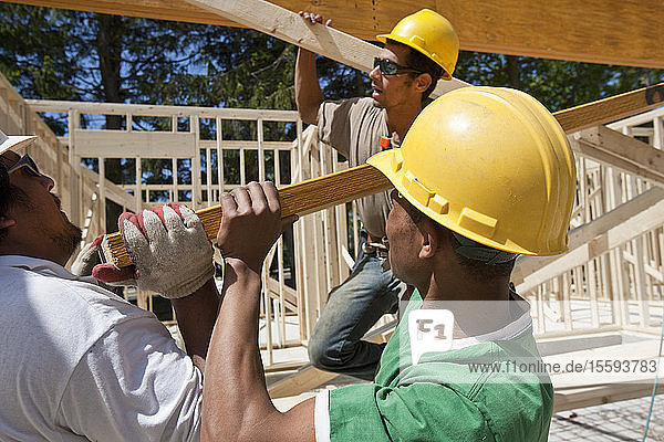 Zimmerleute beim Anheben eines Leimbinders auf einer Baustelle
