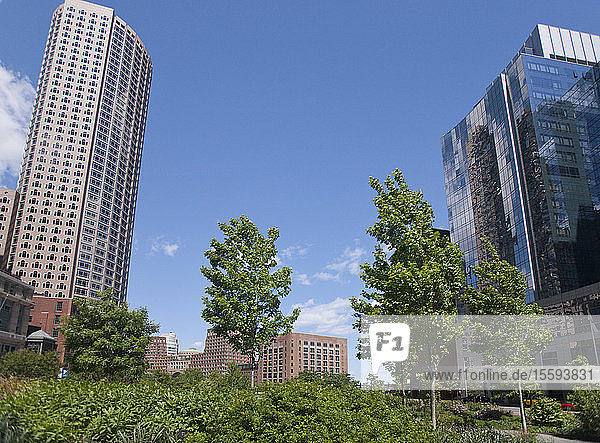 Niedriger Blickwinkel auf Gebäude in einer Stadt  Boston  Massachusetts  USA