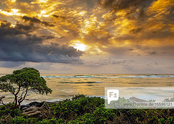Sunrise over the Pacific Ocean from the shore of Kauai; Kauai  Hawaii  United States of America