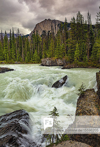 Rauschender Fluss und die kanadischen Rocky Mountains im Yoho-Nationalpark; British Columbia  Kanada