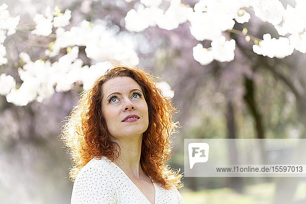 Porträt einer Frau mit roten Haaren inmitten von Kirschblüten; Vancouver  British Columbia  Kanada