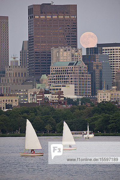 Segelboote mit einer Stadt am Wasser  Charles River  Back Bay  Boston  Massachusetts  USA