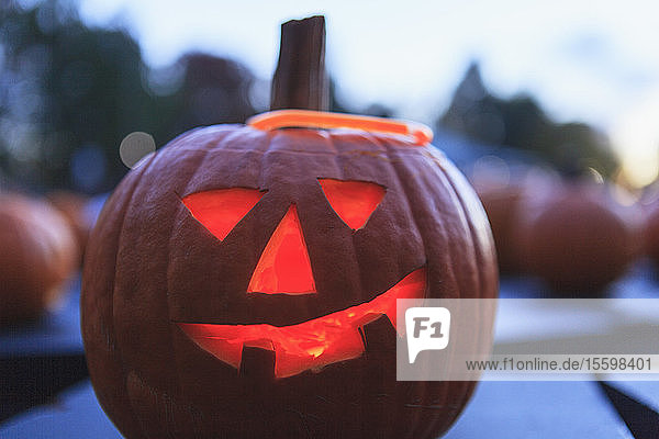 Beleuchtete Halloween-Kürbislaterne in Boston  Massachusetts  USA