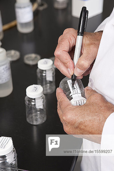 Wissenschaftlerin beim Beschriften der Probenflaschen im Labor der Wasseraufbereitungsanlage