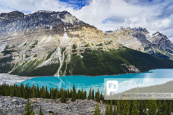 Hellblaues Wasser des Peyto Lake in den Rocky Mountains des Banff National Park entlang des Icefield Parkway; Improvement District No. 9  Alberta  Kanada