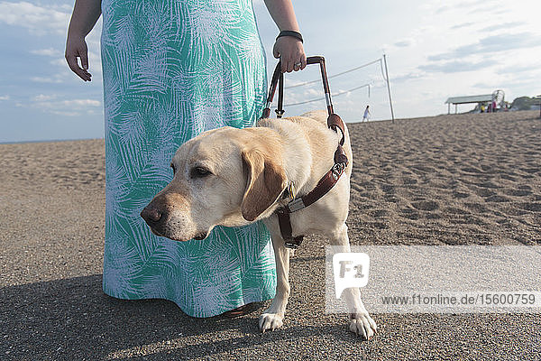 Blinde Frau geht mit ihrem Diensthund am Strand entlang