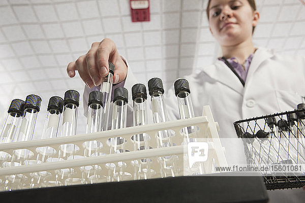 Wissenschaftlerin ordnet Reagenzgläser in einem Gestell im Labor einer Wasseraufbereitungsanlage an