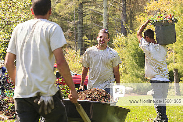 Landschaftsgärtner transportieren Mulch in Schubkarren zu einem Garten