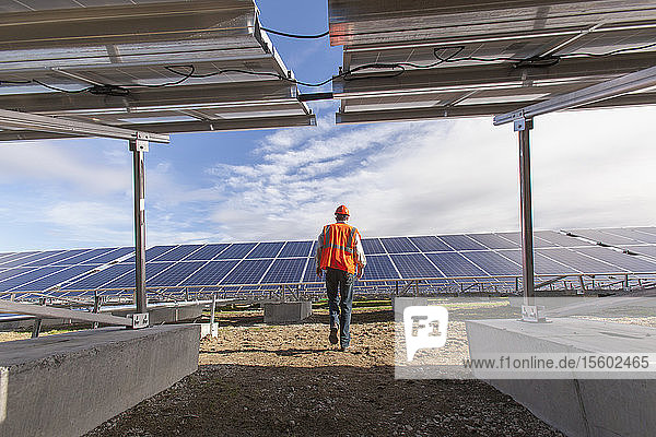 Power engineer walking toward solar photovoltaic array