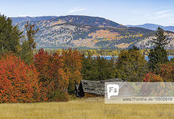 Herbstliche Laubfärbung im Okanagan Valley; British Columbia  Kanada