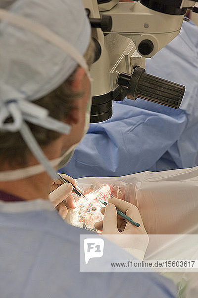 Arzt schneidet mit Pinzette und Mikroskalpell einen Knoten durch