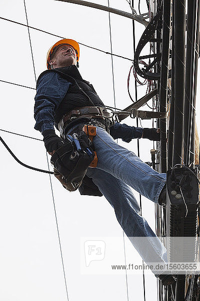 Mitarbeiter der Kommunikationsbranche prüft Kabel an einem Strommast