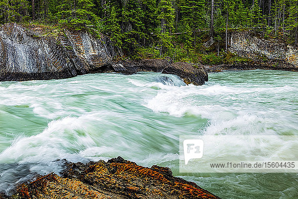 Emerald River  der in den Emerald Lake fließt  und die Natural Bridge  Yoho National Park; British Columbia  Kanada