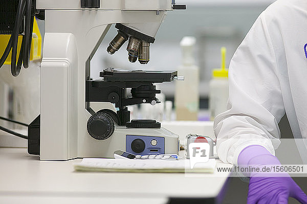 Wissenschaftler bei der Analyse einer Stammzellenprobe in einem Labor