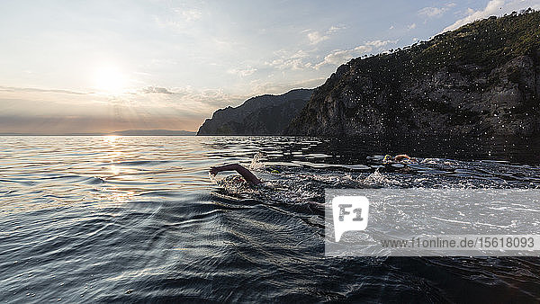 The Swimmers Swimming In The Mediterranean Sea During Sunset