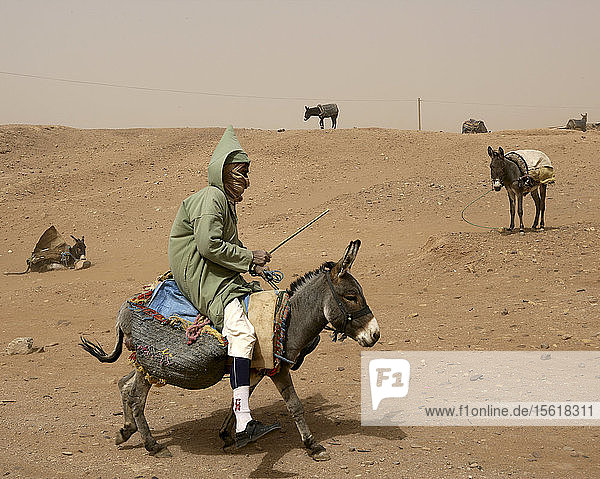 Mann reitet auf einem Esel in einer staubigen Sandstraße in der Kasbah von M'hamid in Südmarokko