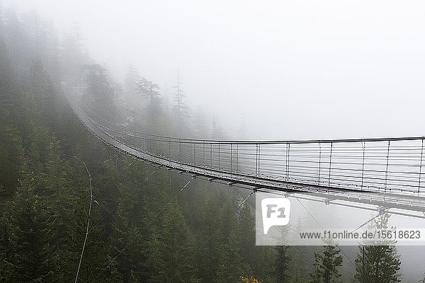 A Misty suspension bridge Squamish British Columbia.
