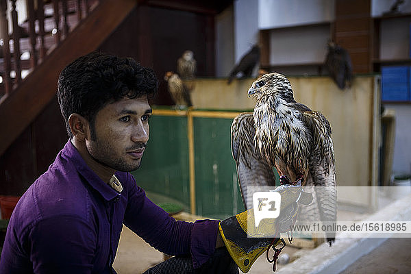Mann hält Falke auf dem Falkenmarkt  Falcon Souk  Doha  Katar