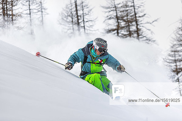 ein mann dreht sich mit seinen skiern in einem schönen pulverwald in den westitalienischen alpen