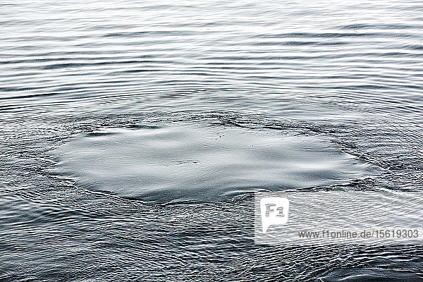 Ein Walfußabdruck  links nach dem Auftauchen von Buckelwalen (Megaptera novaeangliae)  die in der Wilhelmena Bay auf der Antarktischen Halbinsel Krill fressen. Die Wale wandern im Sommer hierher  um sich von Krill zu ernähren. Die Krillbestände sind um über 50 % zurückgegangen. Sie ernähren sich von Algen  die auf der Unterseite des Meereises wachsen. Wenn das Meereis schmilzt  gehen sowohl Algen als auch Krill zurück.