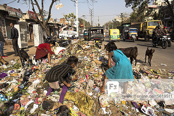 Indische Kinder durchstöbern einen Müllhaufen in den Straßen von Jaipur  Indien.