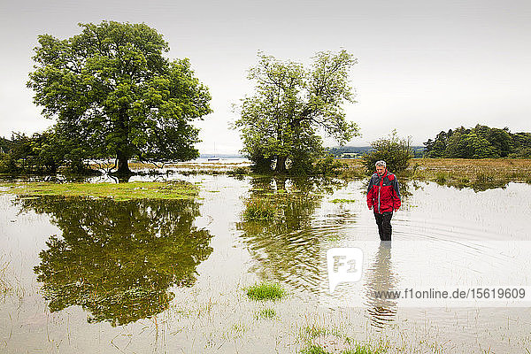Ein Mann watet durch das Hochwasser am Rande des Lake Windermere in Ambleside  Lake District  wo der See den höchsten Stand seit dem Hochwasser im November 2009 erreicht hat. Das ist ziemlich ironisch  da im Nordwesten immer noch ein Schlauchleitungsverbot gilt.