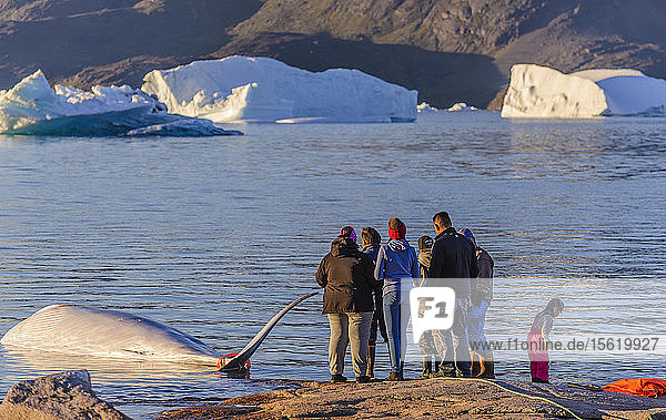 Berufsjäger haben einen Wal für den lokalen Markt in Grönland erlegt. Es gelten Quoten und diese Jagden werden von der Regierung geregelt.
