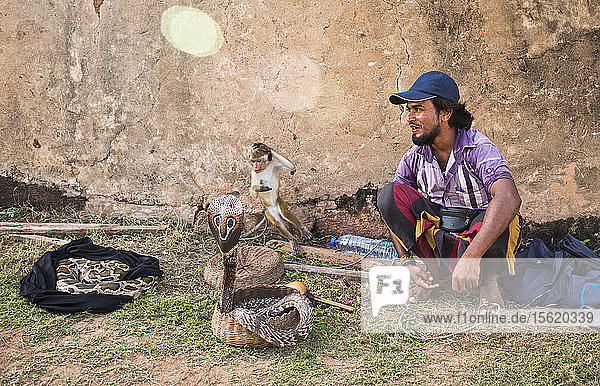 Snake charmer sitting outdoors with two snakes and capuchin monkey  Galle  Sri Lanka