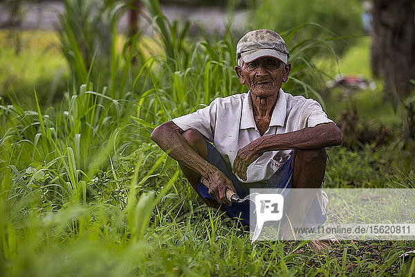 An elderly man squatting and holding a sickle in a rice paddy near Ubub  Bali  Indonesia.