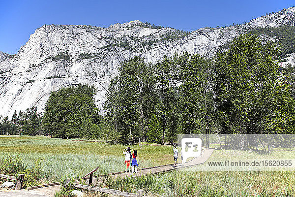 View of El Capitan from roadside meadows as you drive into Yosemite National Park.