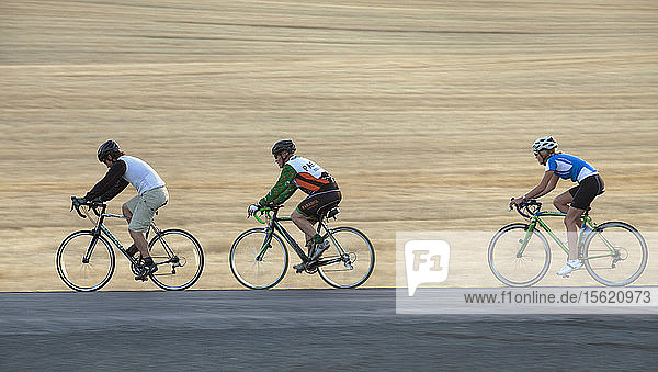 Drei Radfahrer fahren mit dem Rennrad durch die hügelige Landschaft des Palouse in Moskau  Idaho